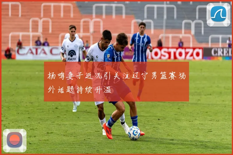 杨鸣妻子近况引关注辽宁男篮赛场外话题持续升温