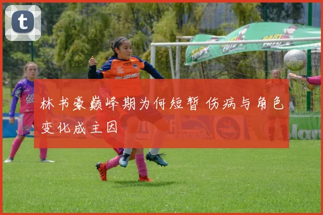 林书豪巅峰期为何短暂 伤病与角色变化成主因